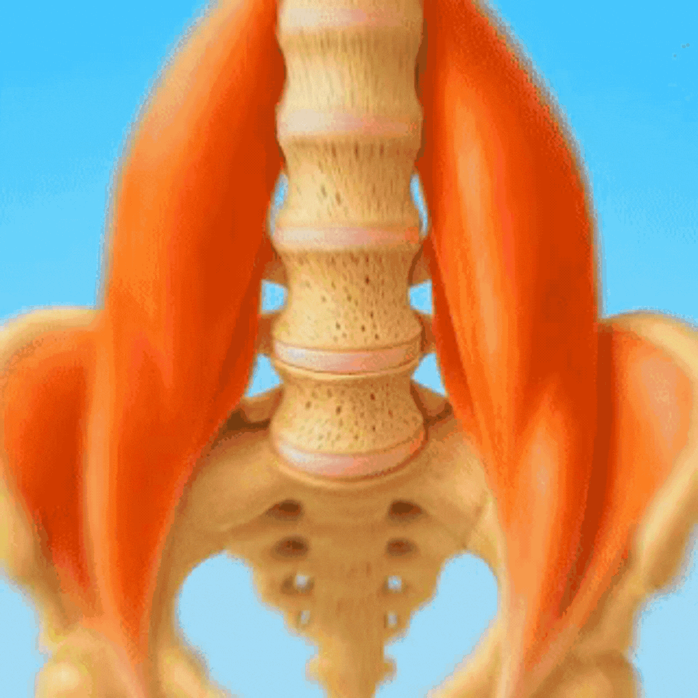 Alt Image